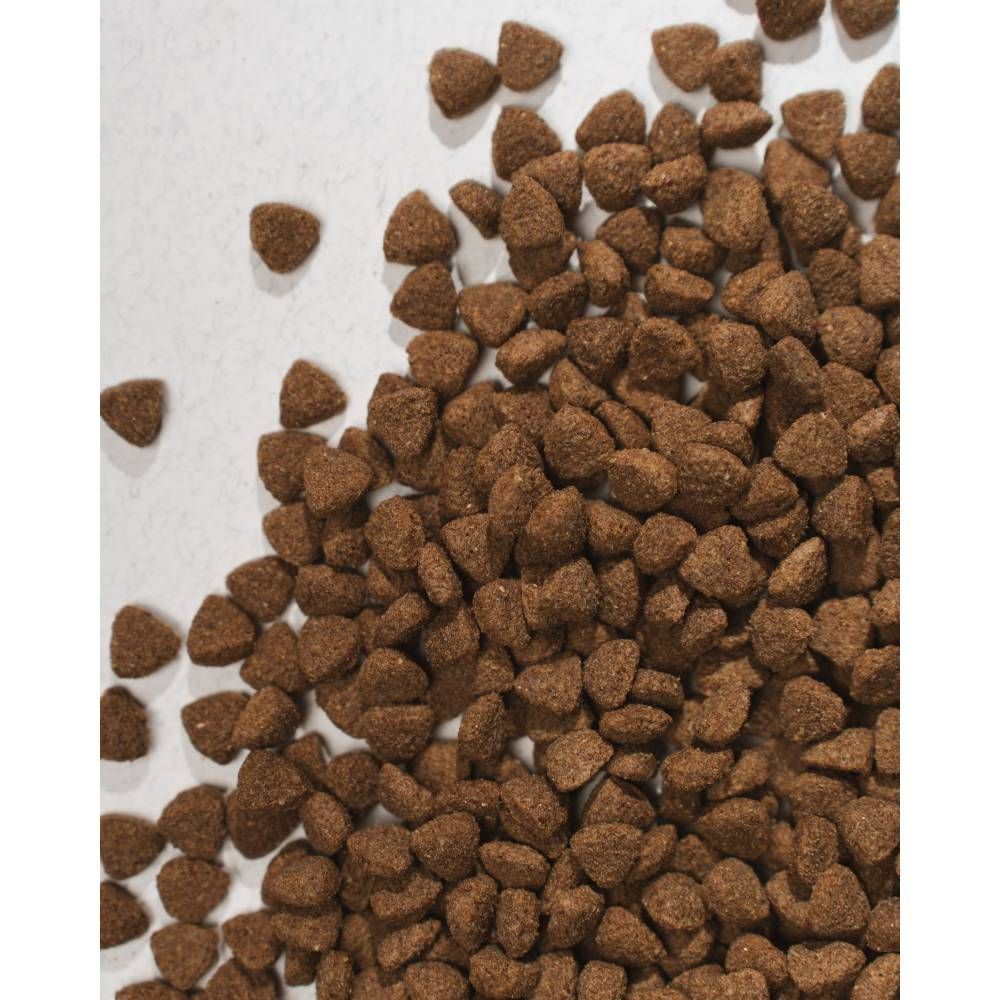 Π‘ΡΡ
ΠΎΠΉ ΠΊΠΎΡΠΌ Π΄Π»Ρ ΡΠΎΠ±Π°ΠΊ Half&Half Small Breed 2 ΠΊΠ³ - Π³ΠΎΠ²ΡΠ΄ΠΈΠ½Π° Π‘ΡΡ
ΠΎΠΉ ΠΊΠΎΡΠΌ Π΄Π»Ρ ΡΠΎΠ±Π°ΠΊ Half&Half Small Breed 2 ΠΊΠ³ - Π³ΠΎΠ²ΡΠ΄ΠΈΠ½Π°