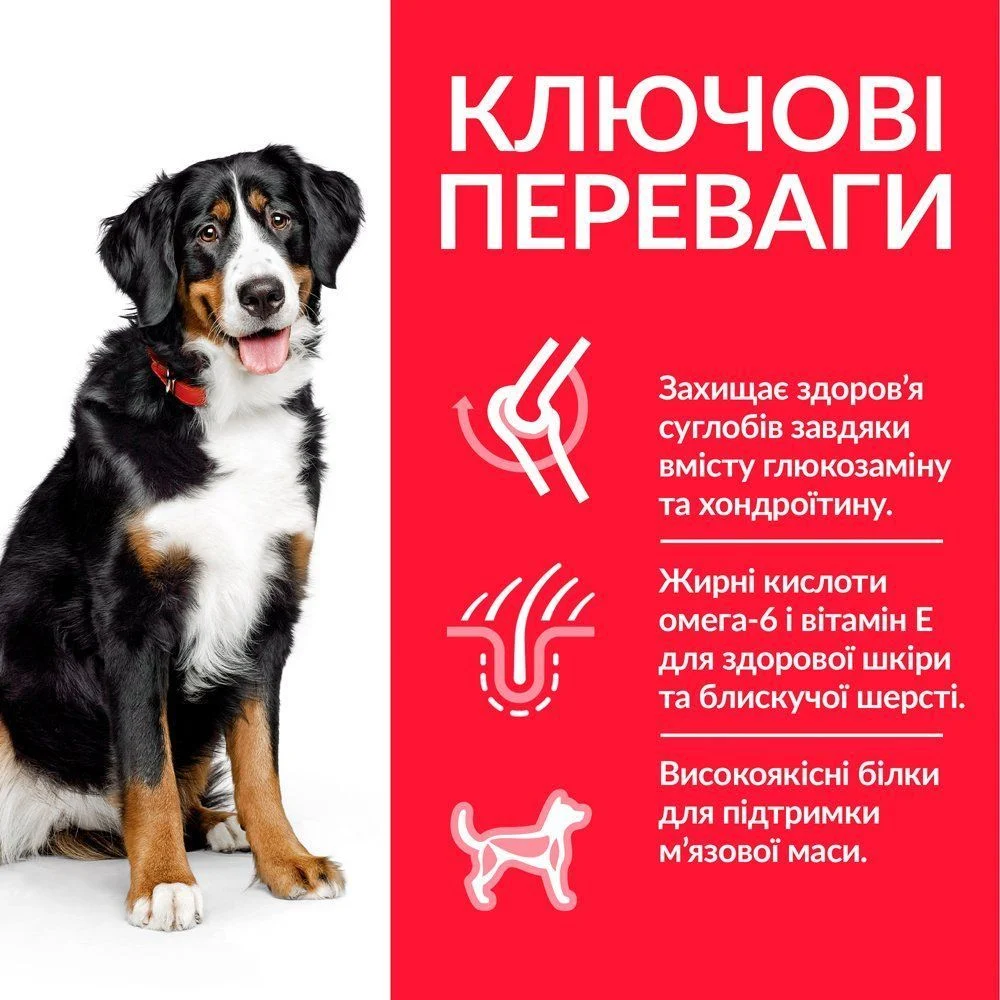 Сухий корм для собак Hill’s Science Plan Adult Large Breed 14 кг - курка