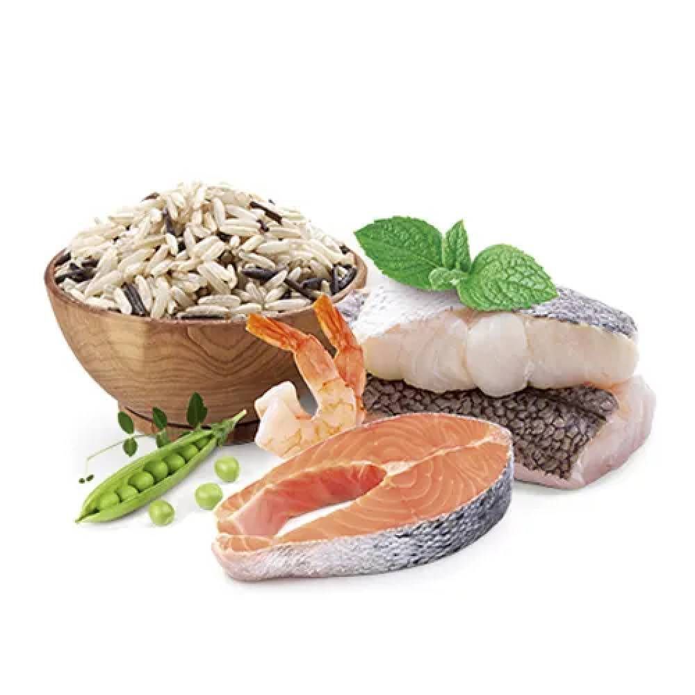 Сухий корм для собак Home Food Hypoallergenic Adult Medium 10 кг - форель та рис Сухий корм для собак Home Food Hypoallergenic Adult Medium 10 кг - форель та рис
