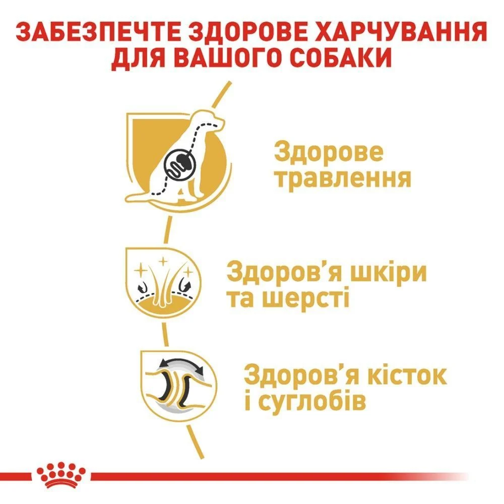 Cухий корм для собак Royal Canin German Shepherd Adult 11 кг
