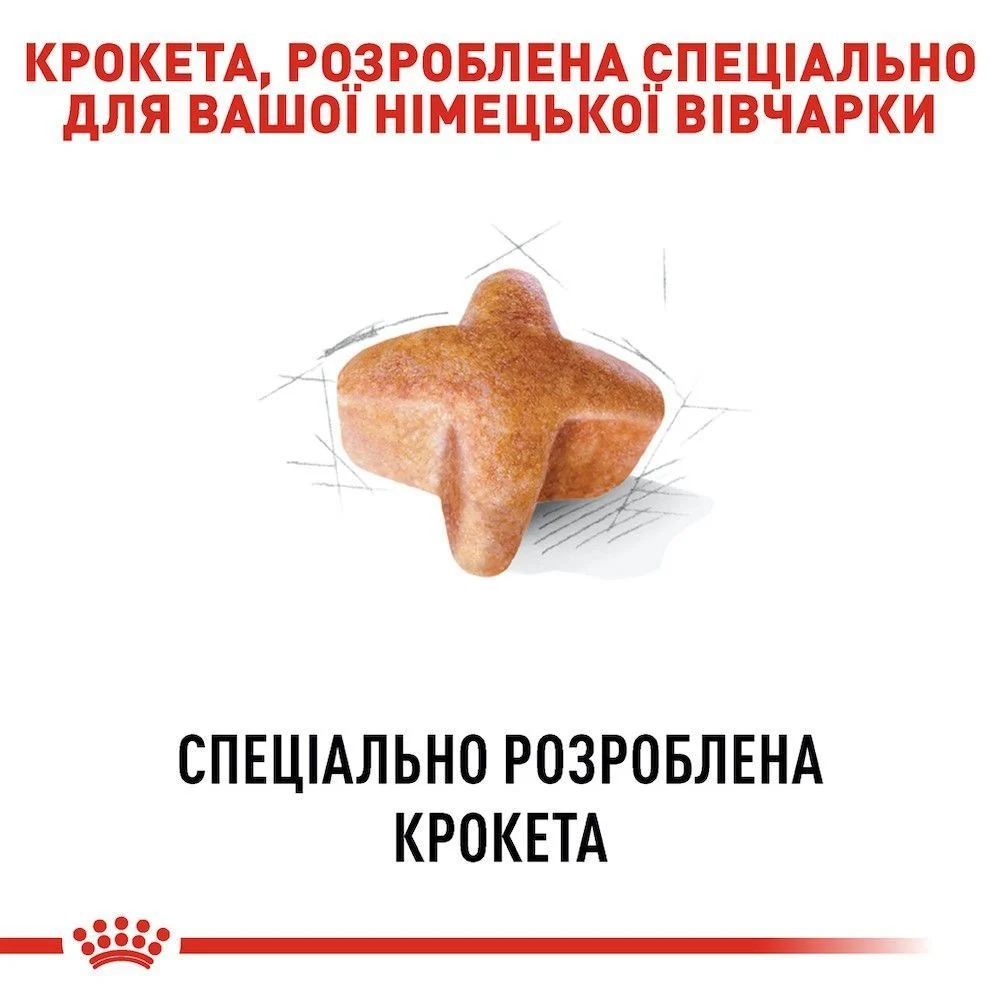 Cухий корм для собак Royal Canin German Shepherd Adult 11 кг