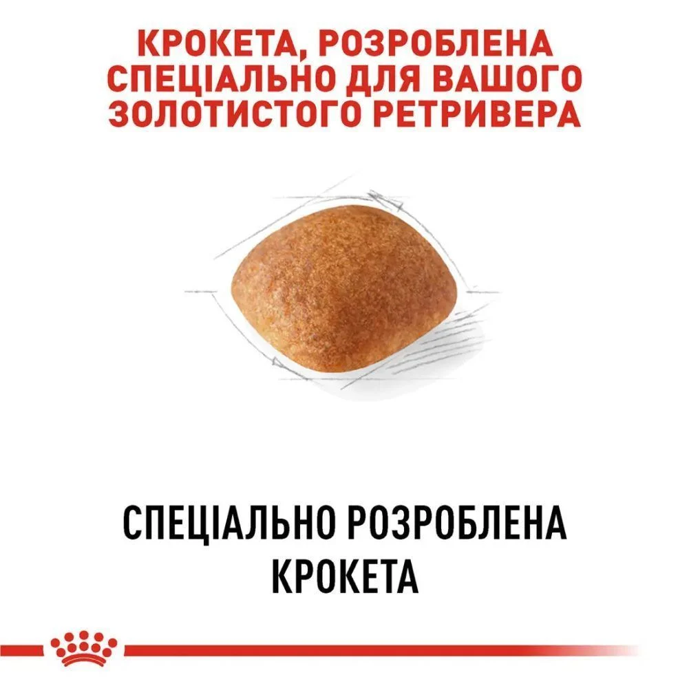 Cухий корм для собак Royal Canin Golden Retriever Adult 12 кг