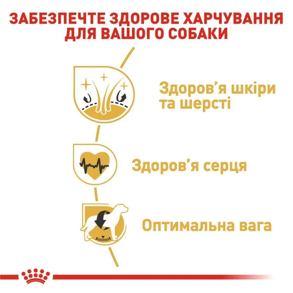 Cухий корм для собак Royal Canin Golden Retriever Adult 12 кг