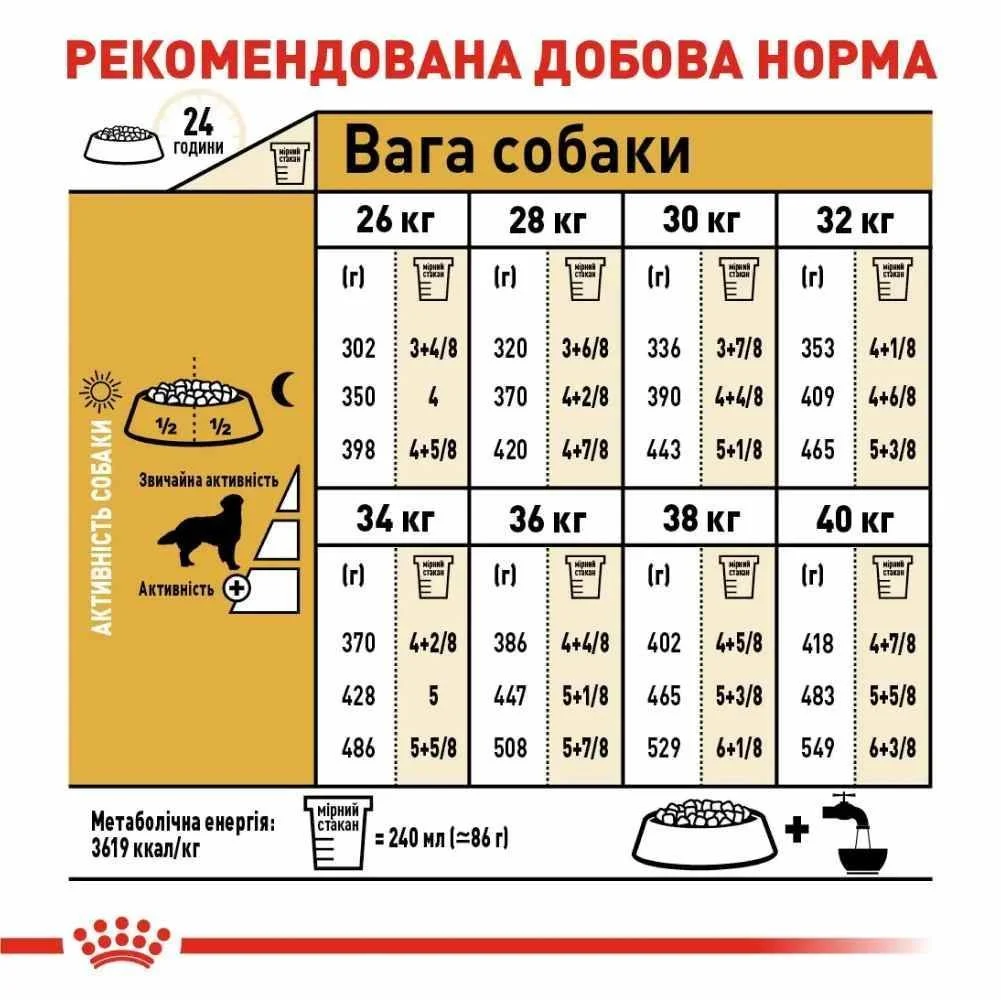 Cухий корм для собак Royal Canin Golden Retriever Adult 12 кг