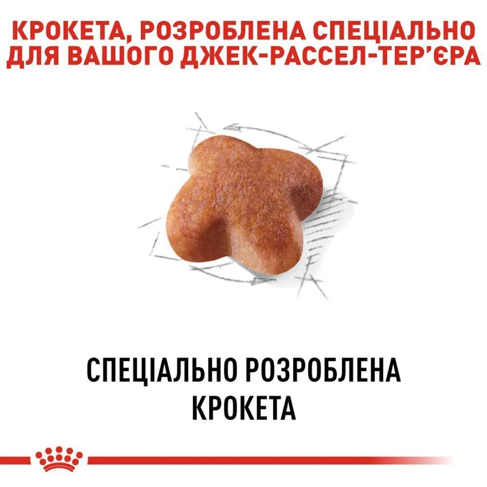 Cухий корм для собак Royal Canin Jack Russel Adult 1,5 кг