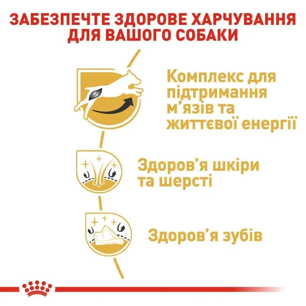 Cухий корм для собак Royal Canin Jack Russel Adult 1,5 кг