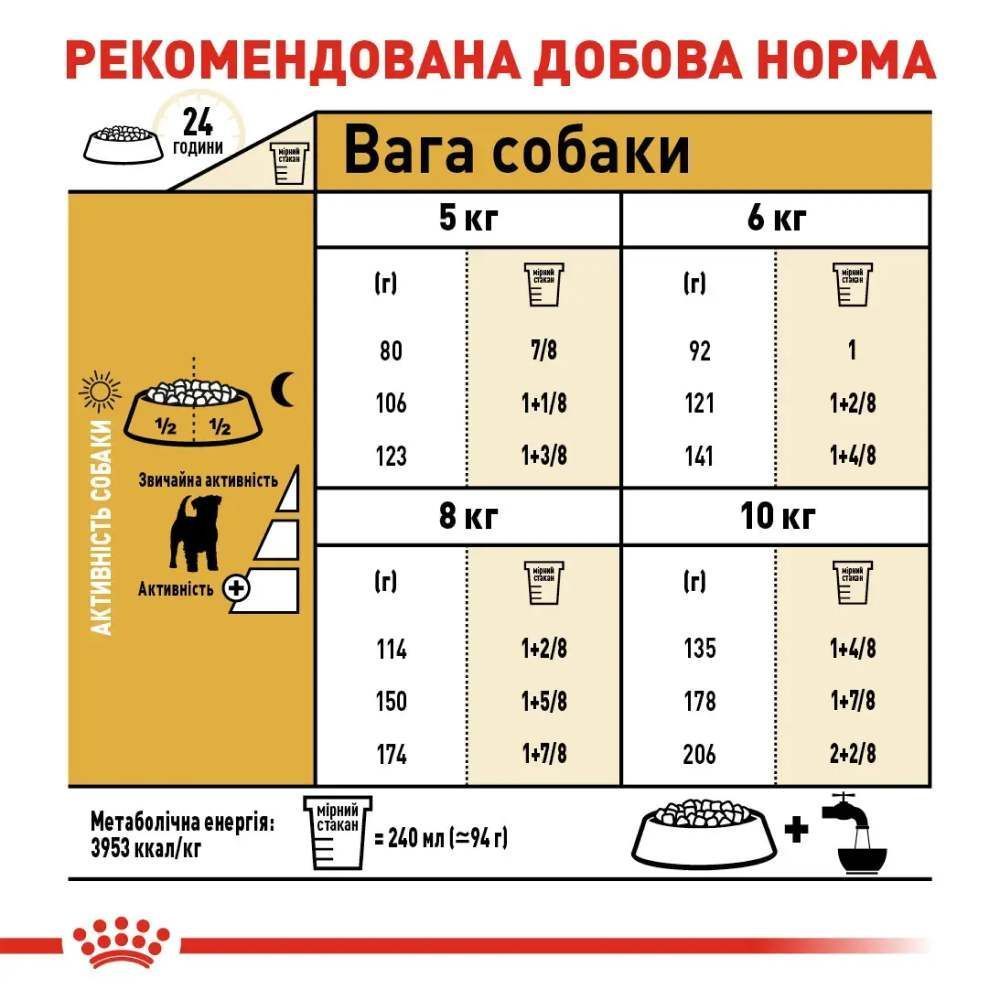 Cухий корм для собак Royal Canin Jack Russel Adult 1,5 кг