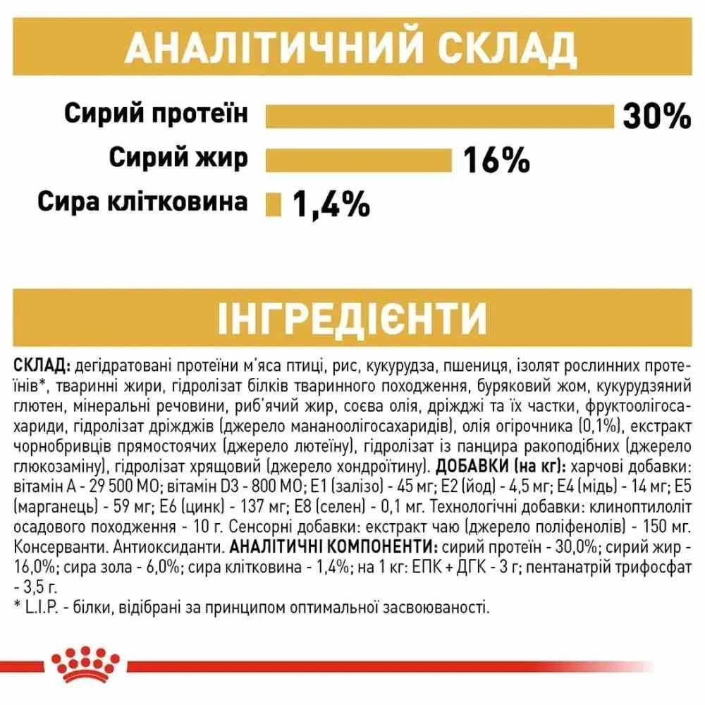 Cухий корм для собак Royal Canin Jack Russel Adult 1,5 кг