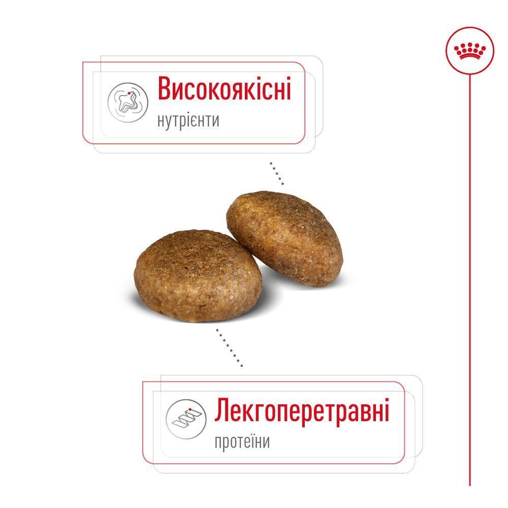 Cухий корм для собак Royal Canin Maxi Adult 12+3 кг