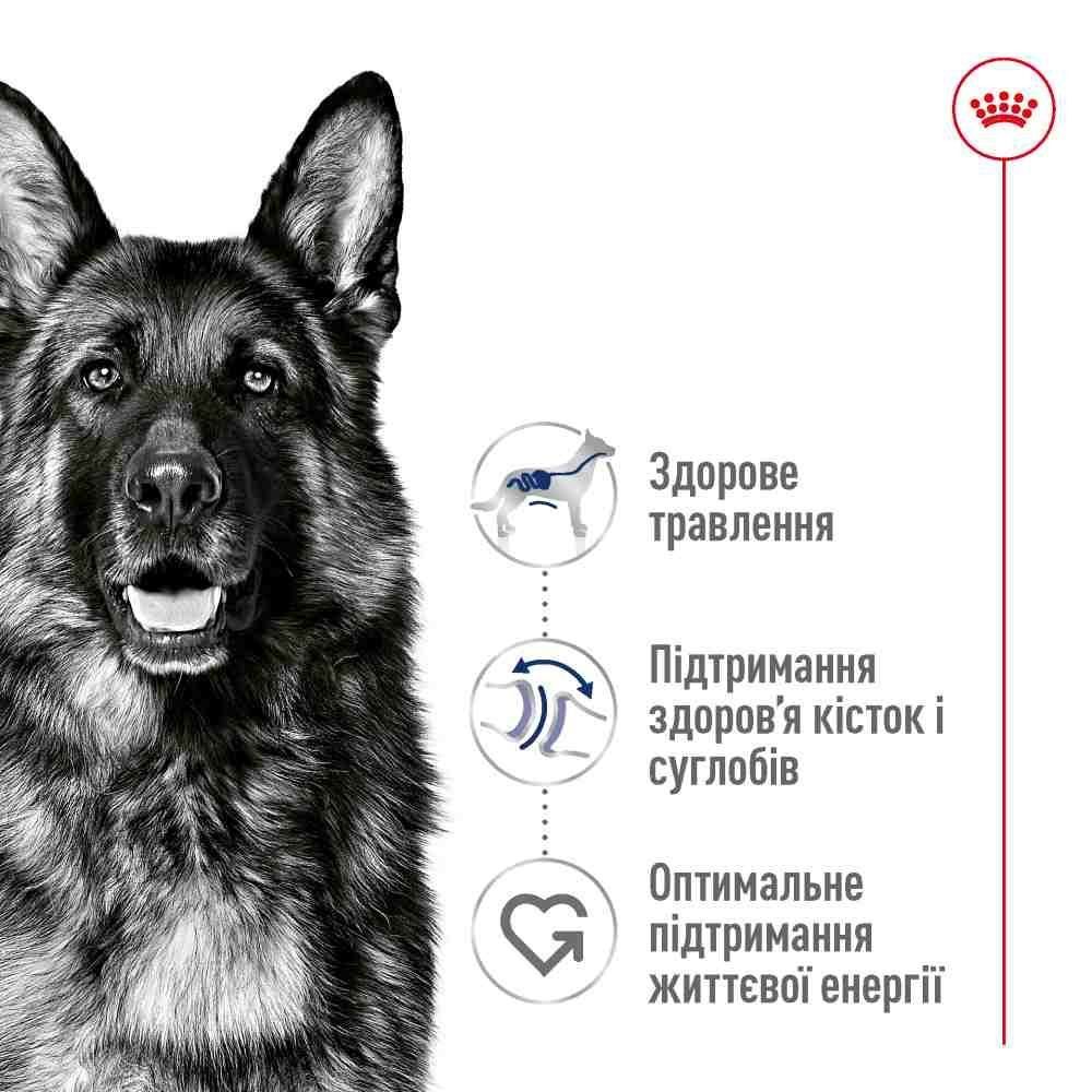 Сухий корм для собак Royal Canin Maxi Ageing Adult 5+ 15 кг Сухий корм для собак Royal Canin Maxi Ageing Adult 5+ 15 кг