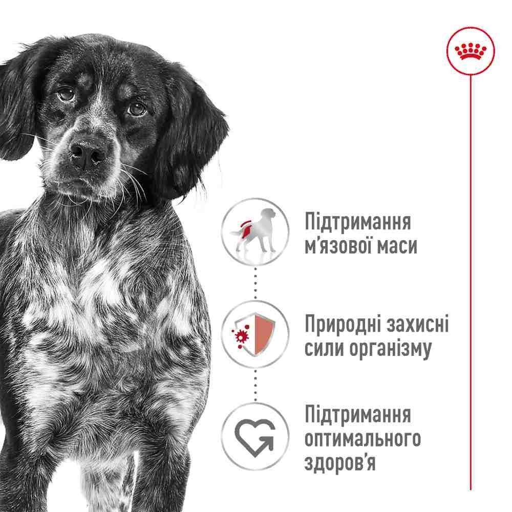 Сухой корм для собак Royal Canin Medium Adult 12+3 кг