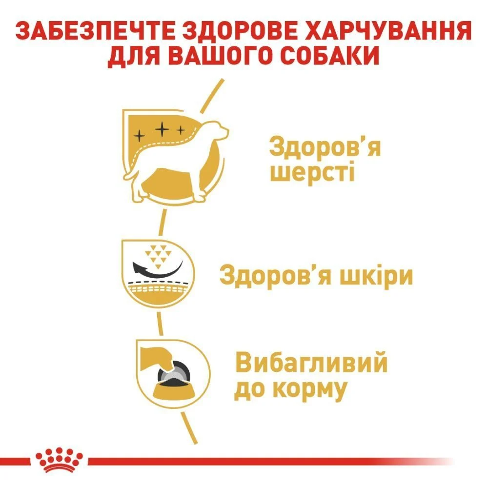 Сухий корм для собак Royal Canin Adult West Highland White Terrier 3 кг Сухий корм для собак Royal Canin Adult West Highland White Terrier 3 кг