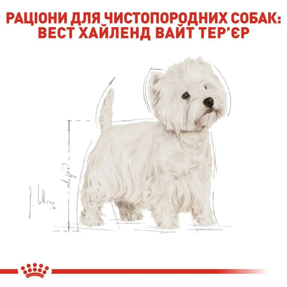Сухий корм для собак Royal Canin Adult West Highland White Terrier 3 кг Сухий корм для собак Royal Canin Adult West Highland White Terrier 3 кг