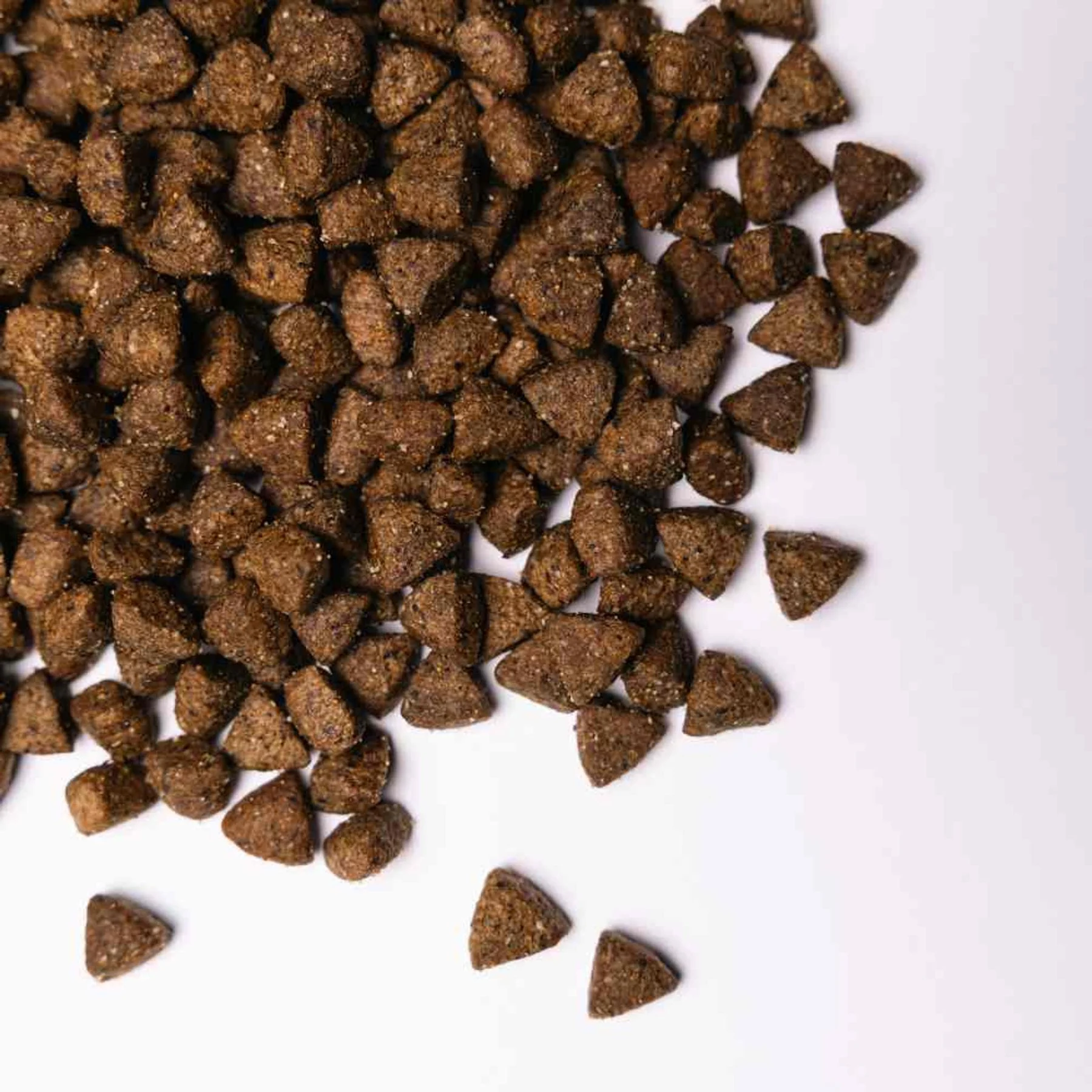 Сухий корм для собак Savory All Breed Sterilised 1 кг - індичка Сухий корм для собак Savory All Breed Sterilised 1 кг - індичка