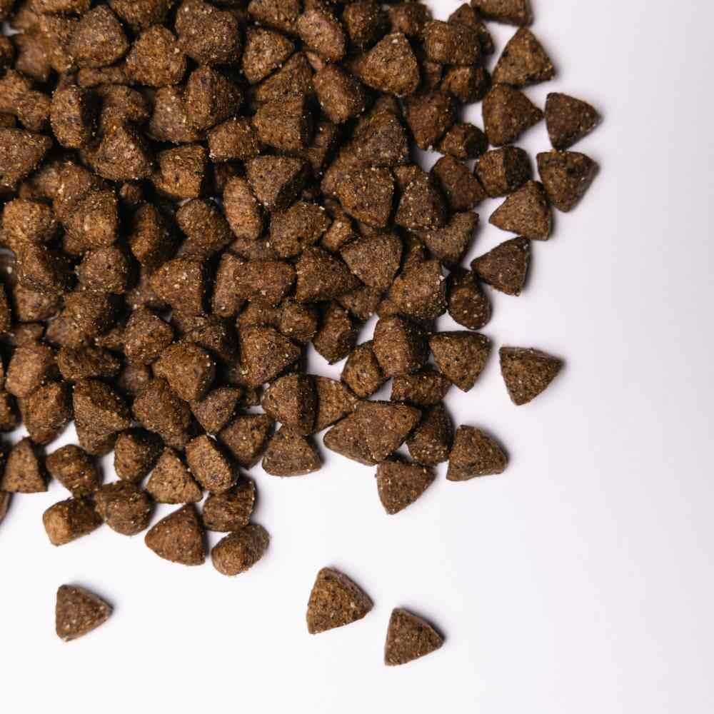 Cухий корм для собак Savory All Breed Sterilised 12 кг - індичка