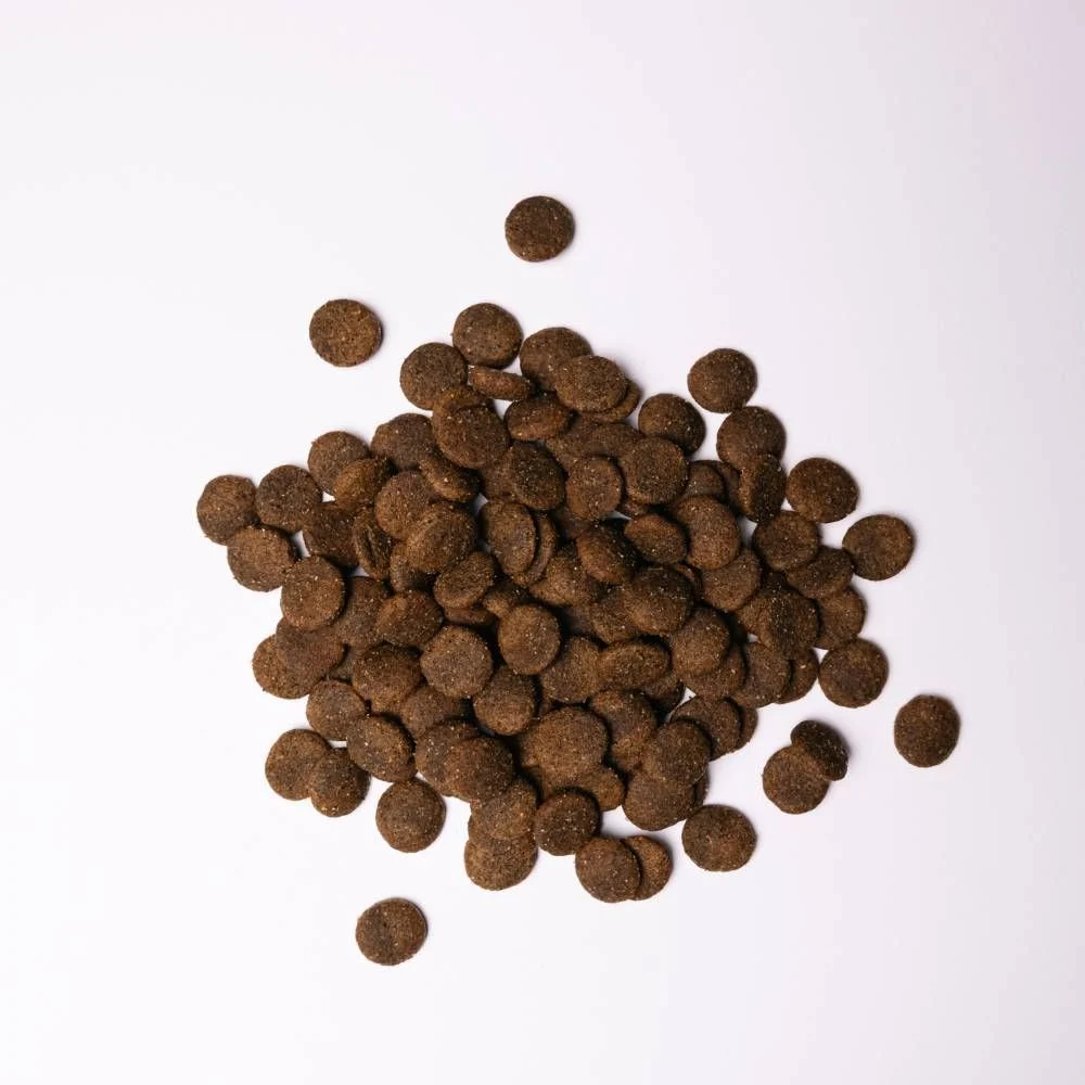 Сухий корм для собак Savory Large Breed 3 кг - індичка та ягня