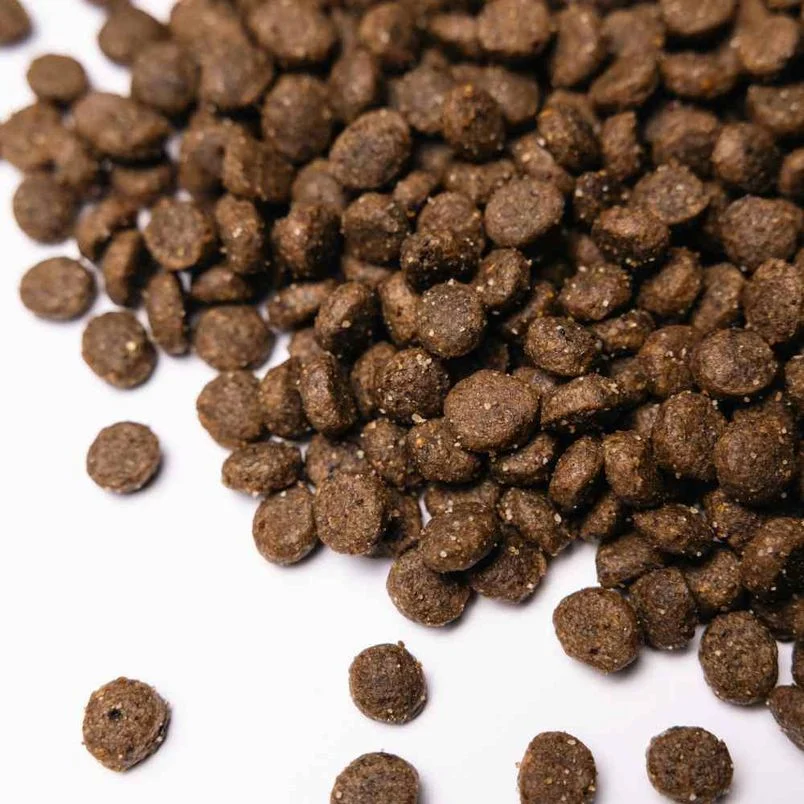Сухий корм для собак Savory Small Breed 1 кг - ягня Сухий корм для собак Savory Small Breed 1 кг - ягня