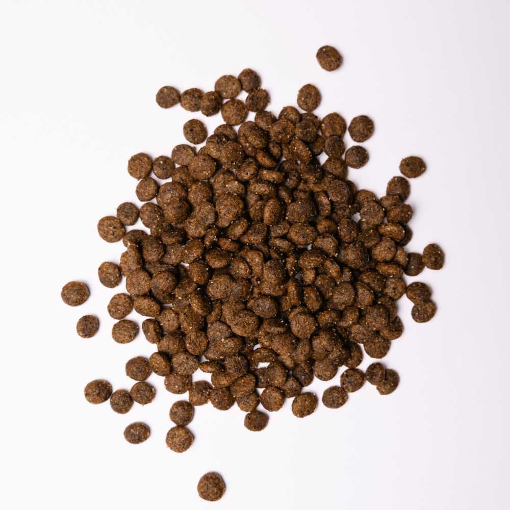 Сухий корм для собак Savory Small Breed 1 кг - індичка та ягня Сухий корм для собак Savory Small Breed 1 кг - індичка та ягня
