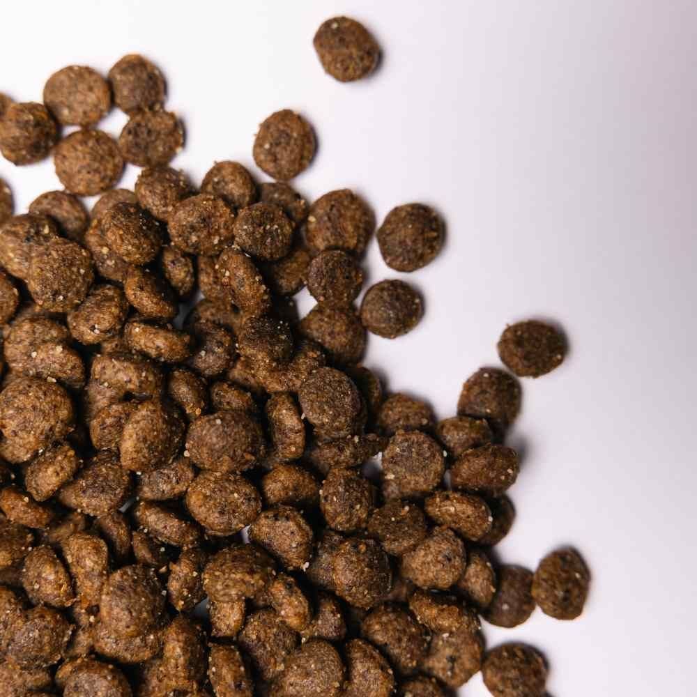 Сухий корм для собак Savory Small Breed 1 кг - індичка та ягня Сухий корм для собак Savory Small Breed 1 кг - індичка та ягня