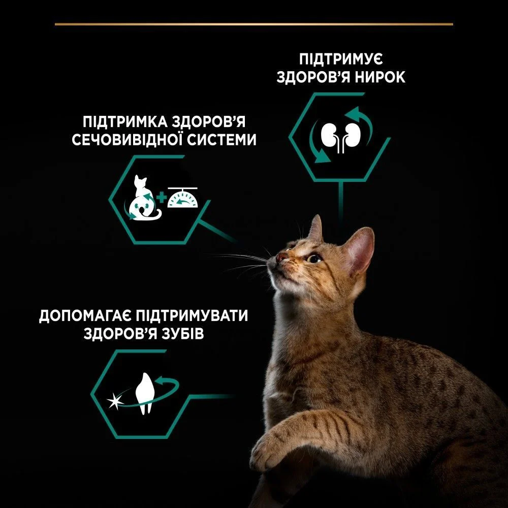 Сухий корм для котів Pro Plan Sterilised Adult Renal Plus 400 г - індичка