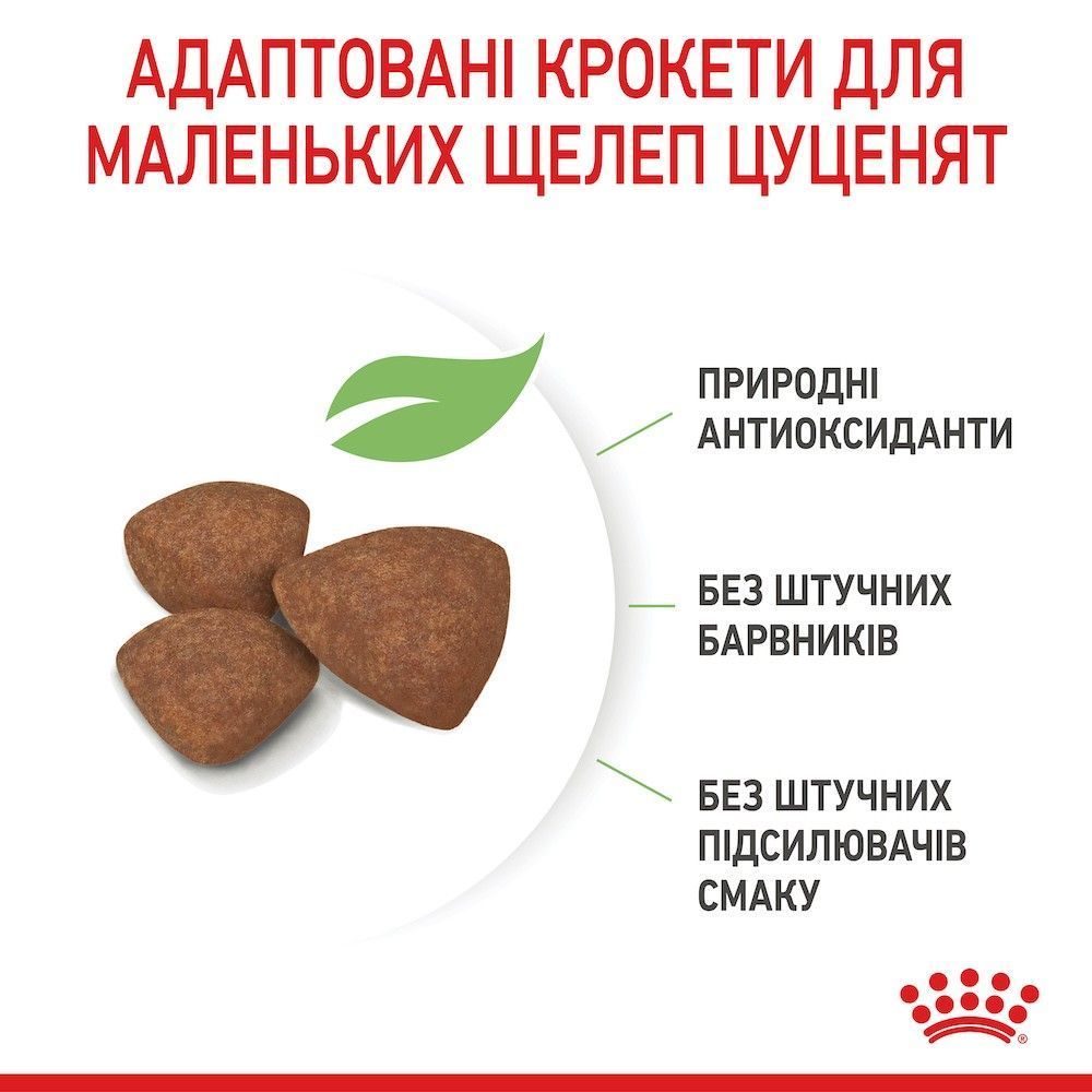 Сухий корм для цуценят Royal Canin Mini Puppy 800 г Сухий корм для цуценят Royal Canin Mini Puppy 800 г