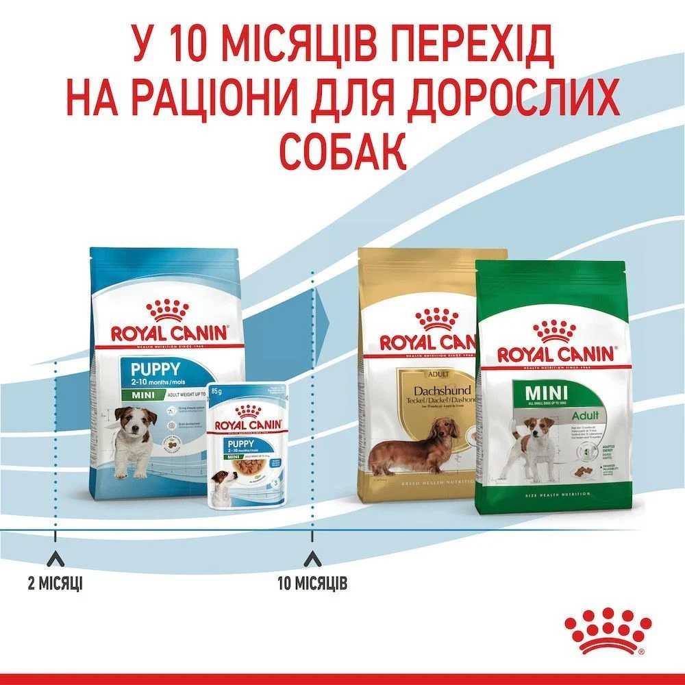Сухий корм для цуценят Royal Canin Mini Puppy 800 г Сухий корм для цуценят Royal Canin Mini Puppy 800 г
