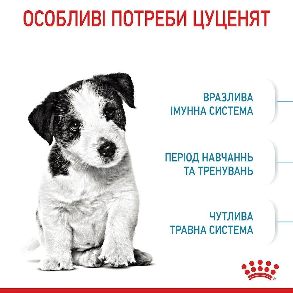 Сухий корм для цуценят Royal Canin Mini Puppy 800 г Сухий корм для цуценят Royal Canin Mini Puppy 800 г