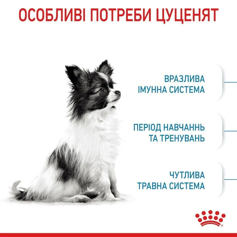 Сухий корм для цуценят Royal Canin X-Small Puppy 500 г Сухий корм для цуценят Royal Canin X-Small Puppy 500 г