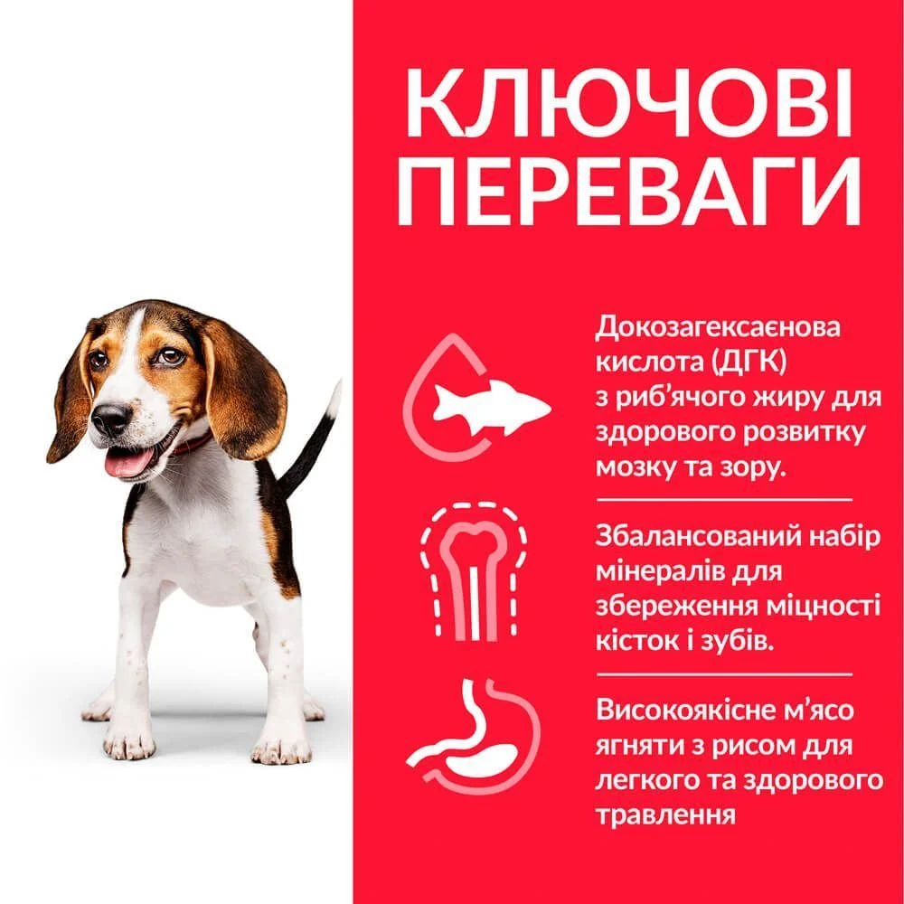 Сухой корм для щенков Hill’s Science Plan Medium Breed Puppy 2,5 кг - ягненок и рис Сухой корм для щенков Hill’s Science Plan Medium Breed Puppy 2,5 кг - ягненок и рис
