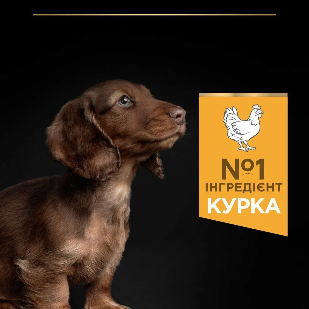 Cухий корм для цуценят Pro Plan Small & Mini Puppy Healthy Start 7 кг - курка