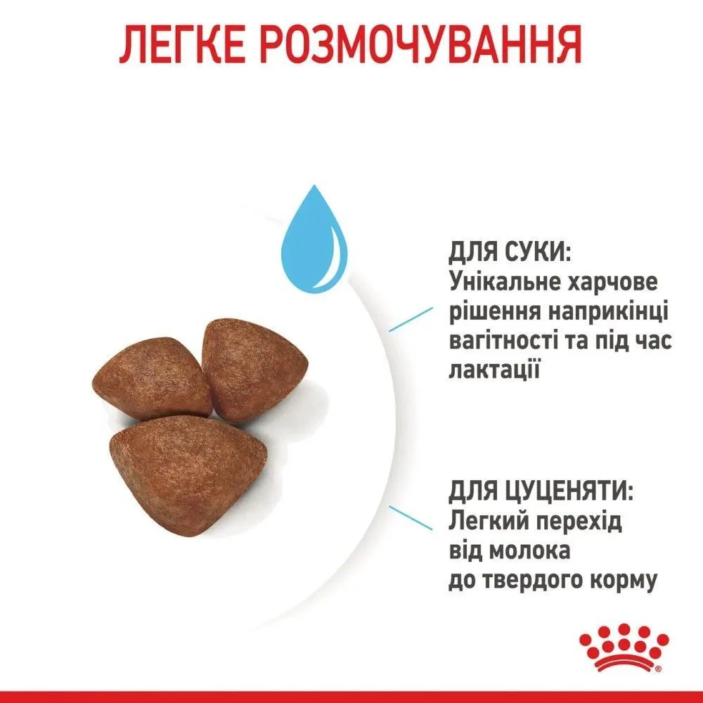 Сухой корм для щенков Royal Canin Mini Starter 1 кг