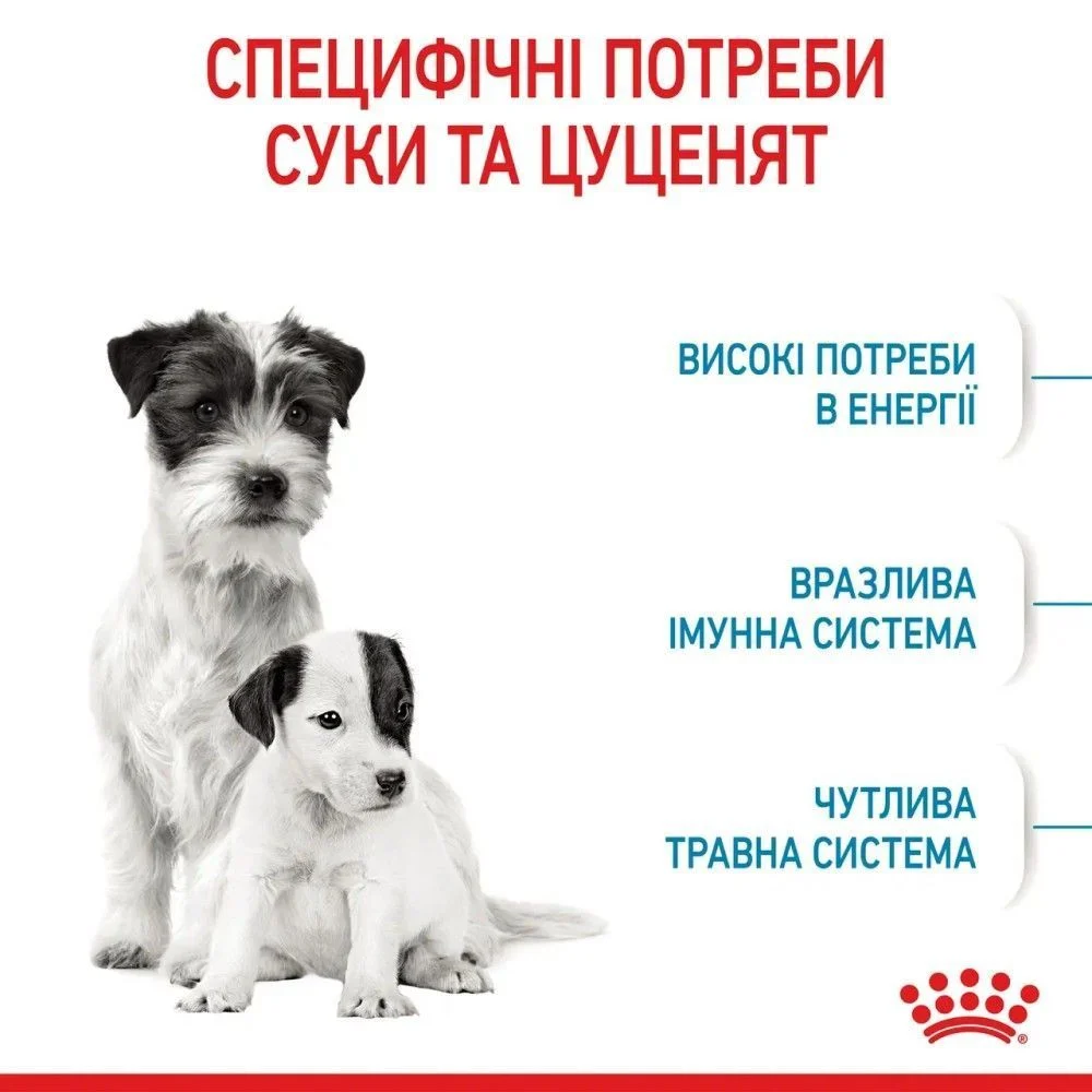 Сухой корм для щенков Royal Canin Mini Starter 1 кг