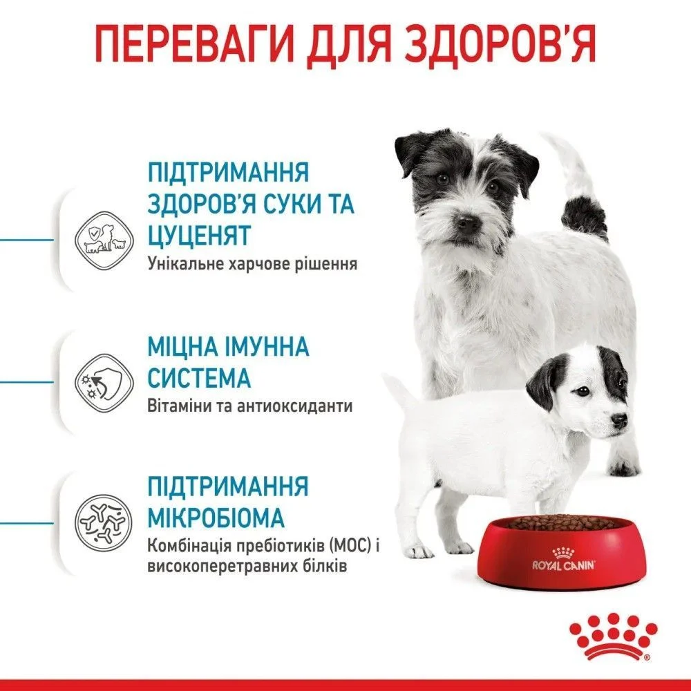 Сухой корм для щенков Royal Canin Mini Starter 1 кг