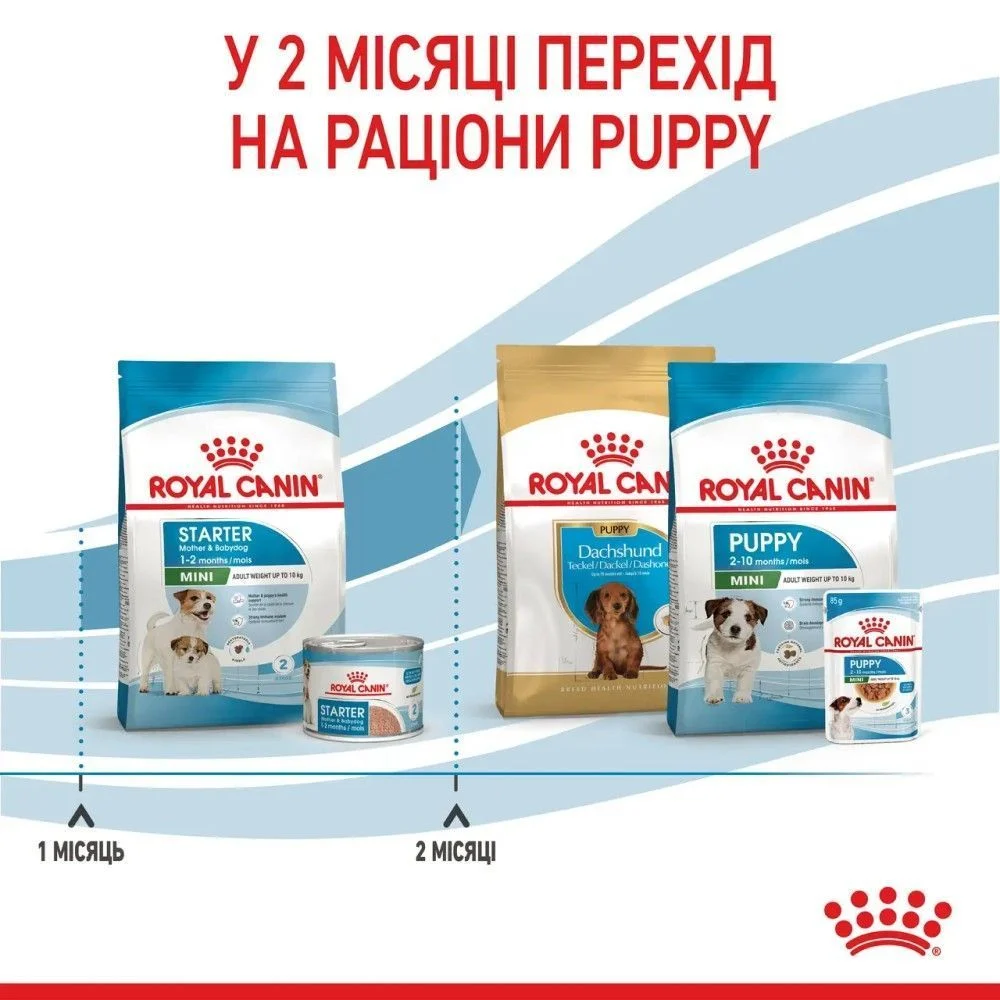 Сухой корм для щенков Royal Canin Mini Starter 1 кг