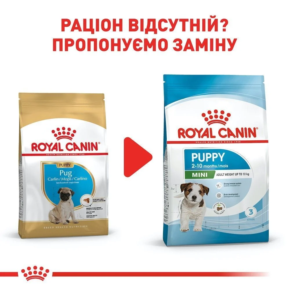 Cухий корм для цуценят Royal Canin Pug Puppy 1,5 кг