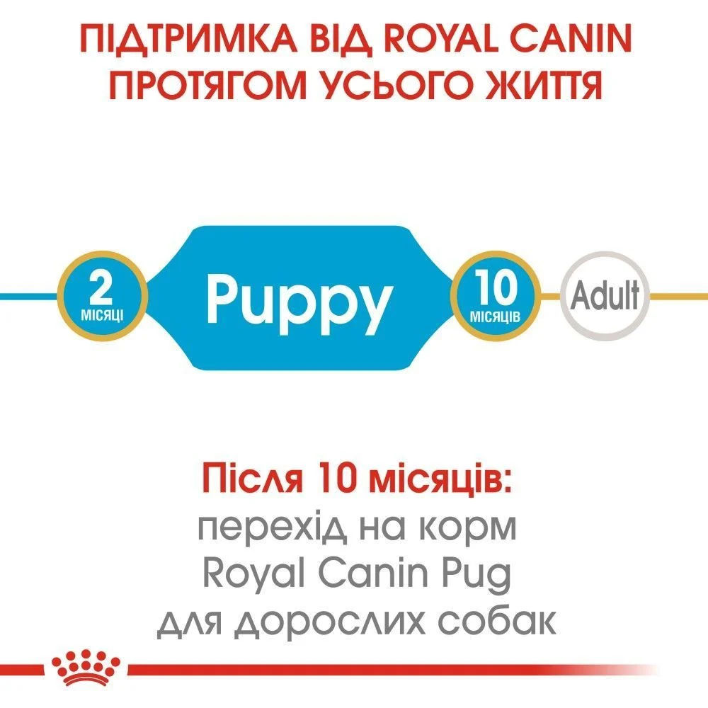 Cухий корм для цуценят Royal Canin Pug Puppy 1,5 кг