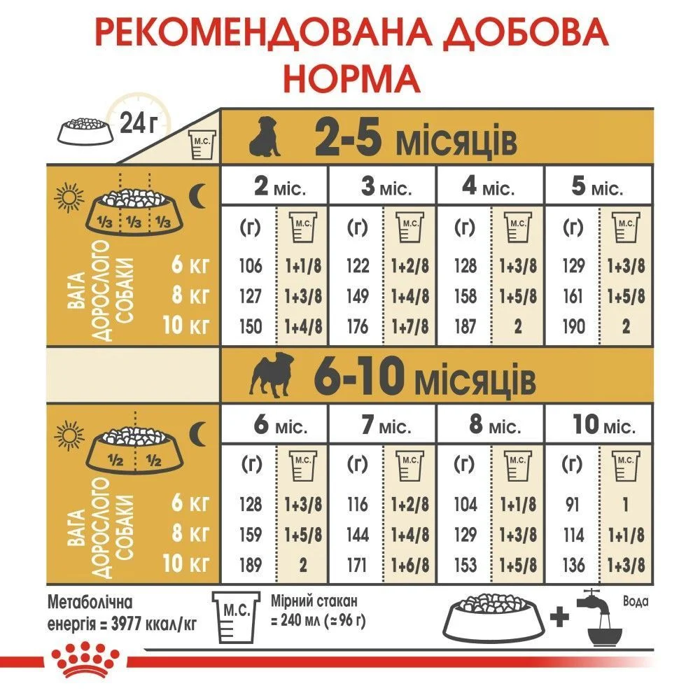 Cухий корм для цуценят Royal Canin Pug Puppy 1,5 кг
