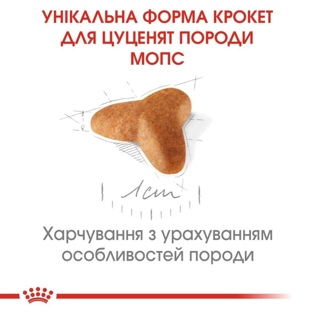 Cухий корм для цуценят Royal Canin Pug Puppy 1,5 кг