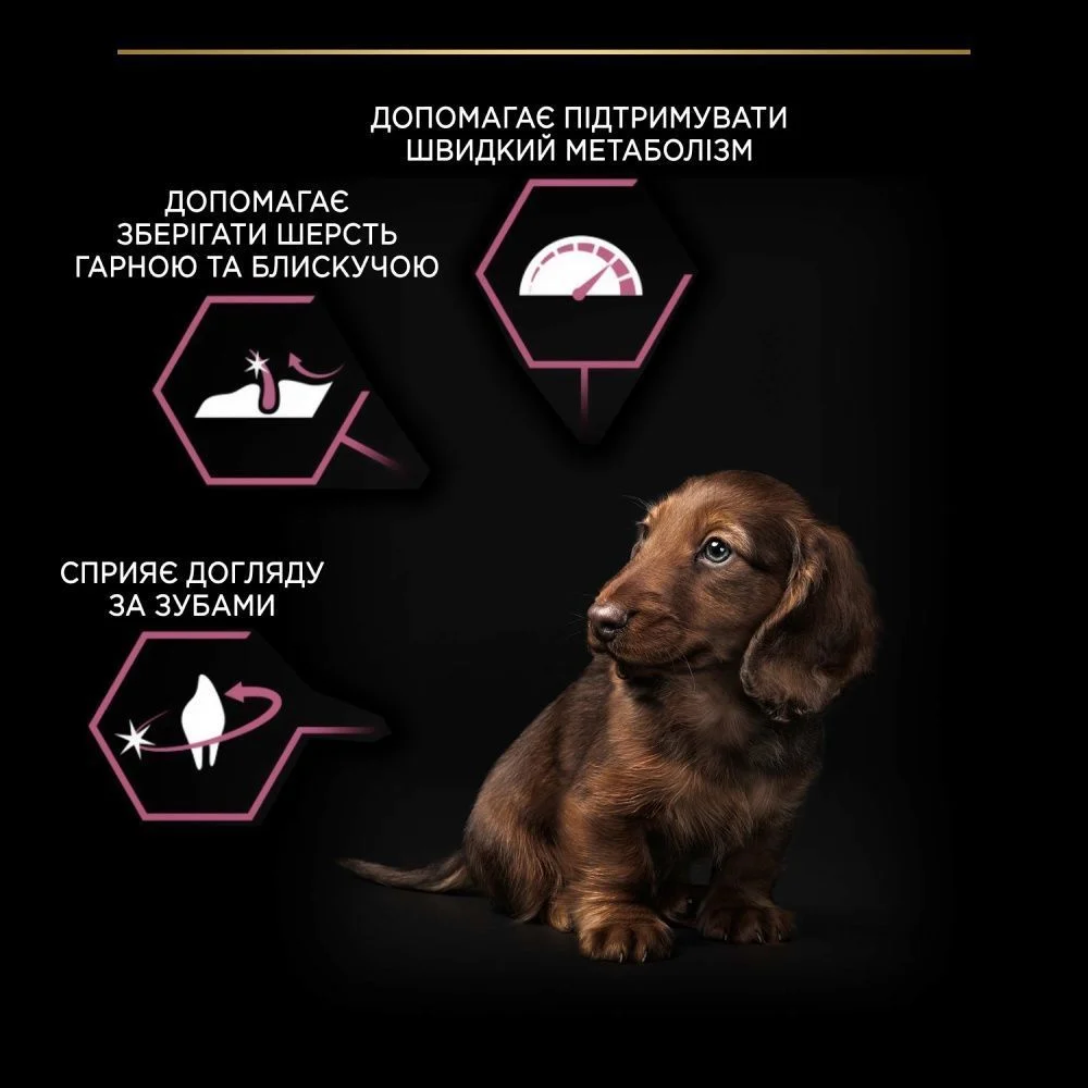 Cухий корм для цуценят Pro Plan Small & Mini Puppy Sensitive Skin 3 кг - лосось