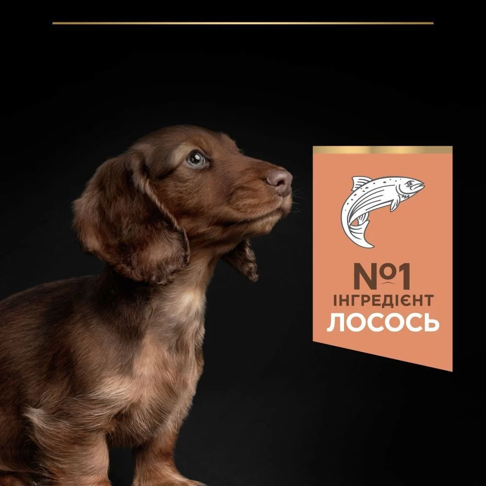 Cухий корм для цуценят Pro Plan Small & Mini Puppy Sensitive Skin 3 кг - лосось
