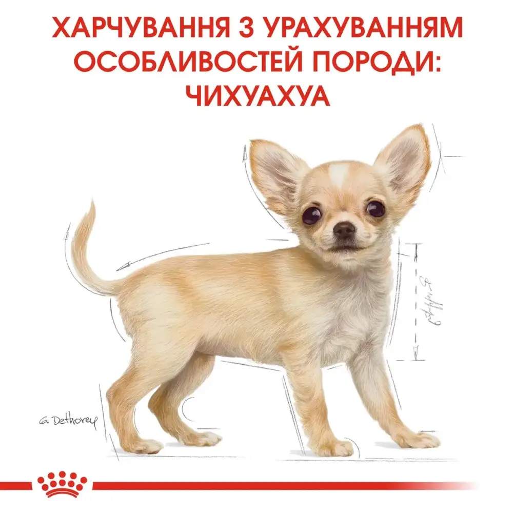 Набір сухого та вологого корму для цуценят Royal Canin Chihuahua Puppy 1,5 кг + 4 шт х 85 г