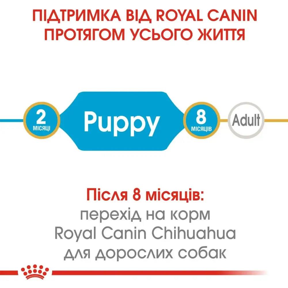 Набір сухого та вологого корму для цуценят Royal Canin Chihuahua Puppy 1,5 кг + 4 шт х 85 г