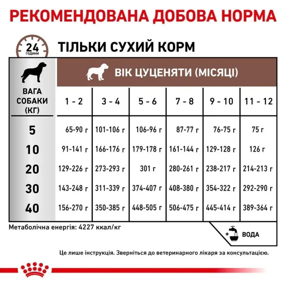 Сухий корм для цуценят Royal Canin Gastrointestinal Puppy 1 кг Сухий корм для цуценят Royal Canin Gastrointestinal Puppy 1 кг