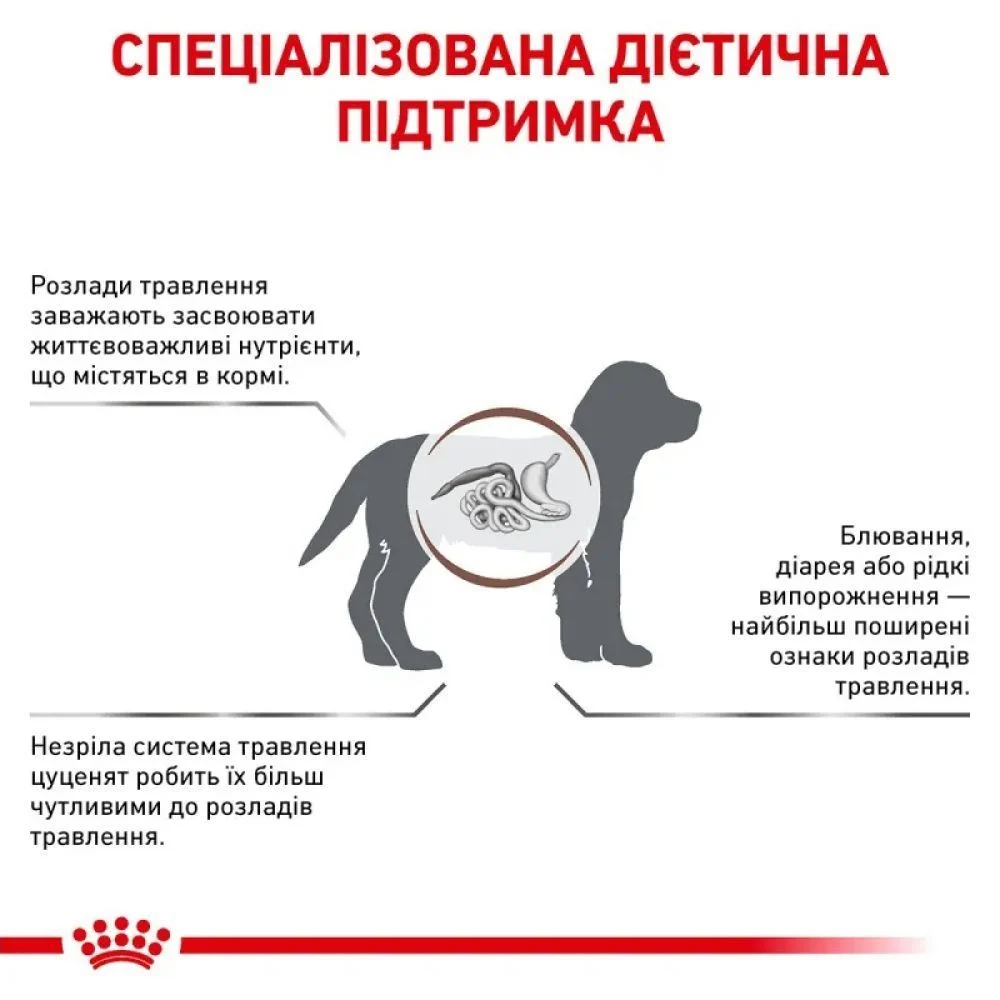 Сухий корм для цуценят Royal Canin Gastrointestinal Puppy 1 кг Сухий корм для цуценят Royal Canin Gastrointestinal Puppy 1 кг