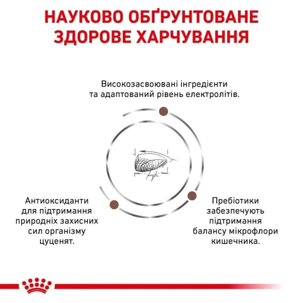 Сухий корм для цуценят Royal Canin Gastrointestinal Puppy 1 кг Сухий корм для цуценят Royal Canin Gastrointestinal Puppy 1 кг