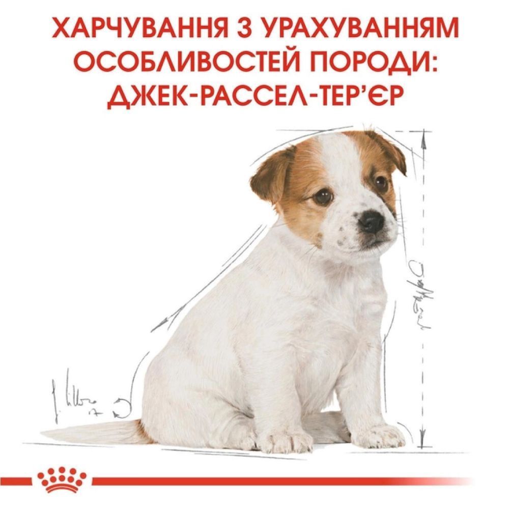 Сухой корм для щенков Royal Canin Puppy Jack Russel Terrier 1,5 кг