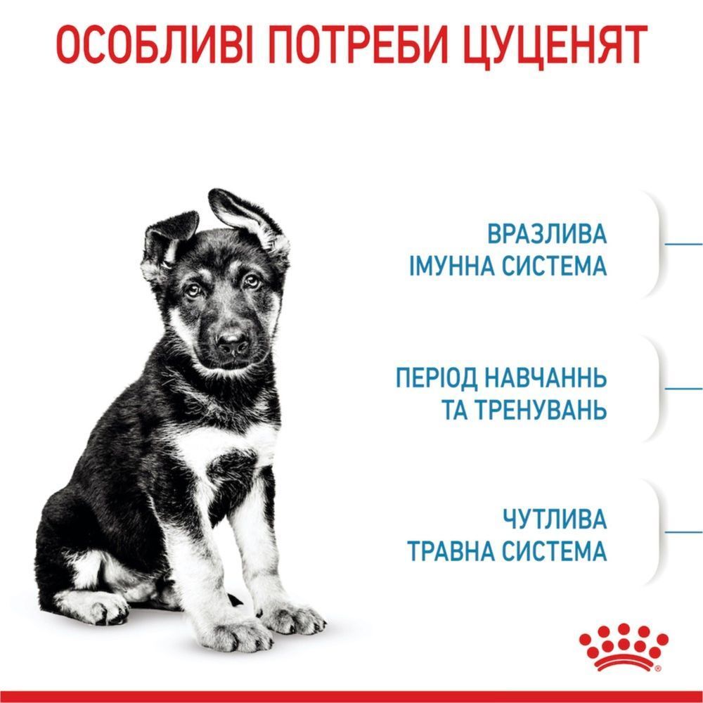Cухий корм для цуценят Royal Canin Maxi Puppy 4 кг