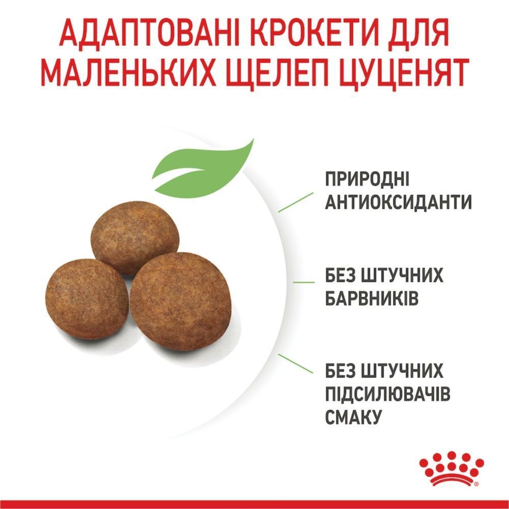 Cухий корм для цуценят Royal Canin Maxi Puppy 4 кг