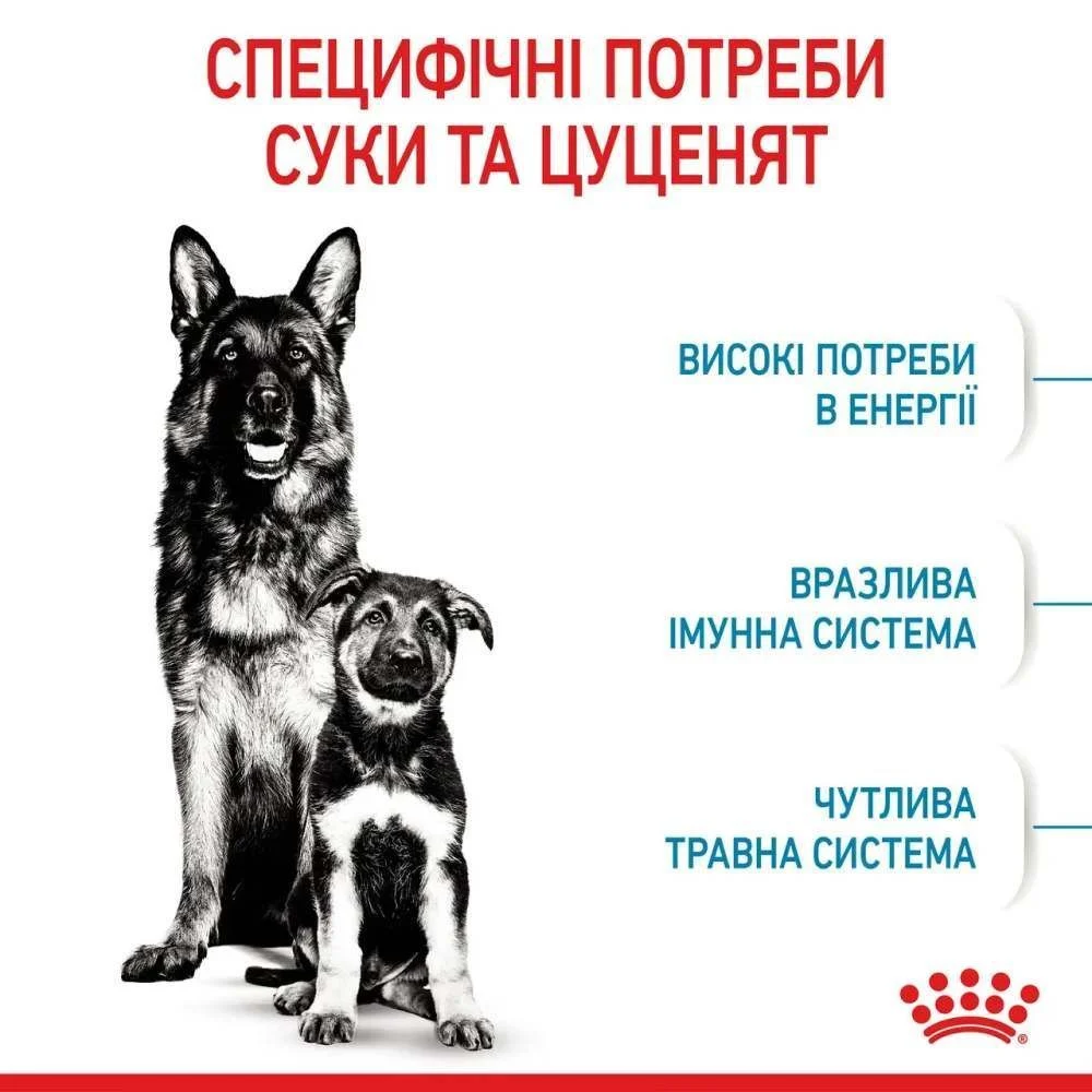 Сухой корм для щенков Royal Canin Maxi Starter 4 кг