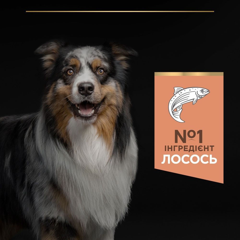 Cухий корм для цуценят Pro Plan Medium Puppy Sensitive Skin 12 кг - лосось